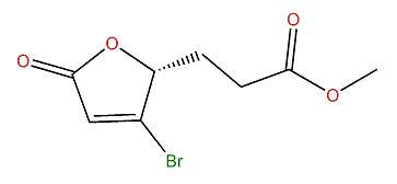 Xestospongiene Z12